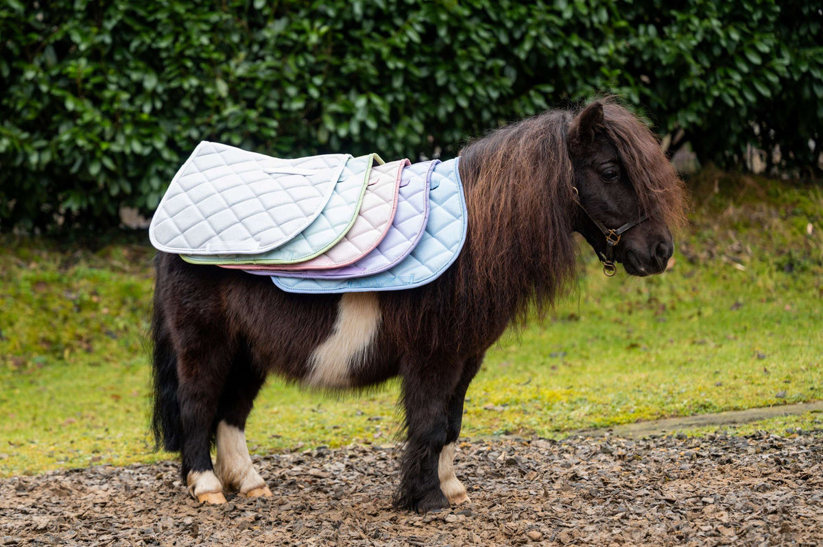 HB Schabracke Spring Vielseitigkeit Rosa