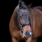 Imperial Riding Kandarenzaum IRHAthena Schwarz