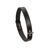 Beeztees Halsband Leder Schwarz