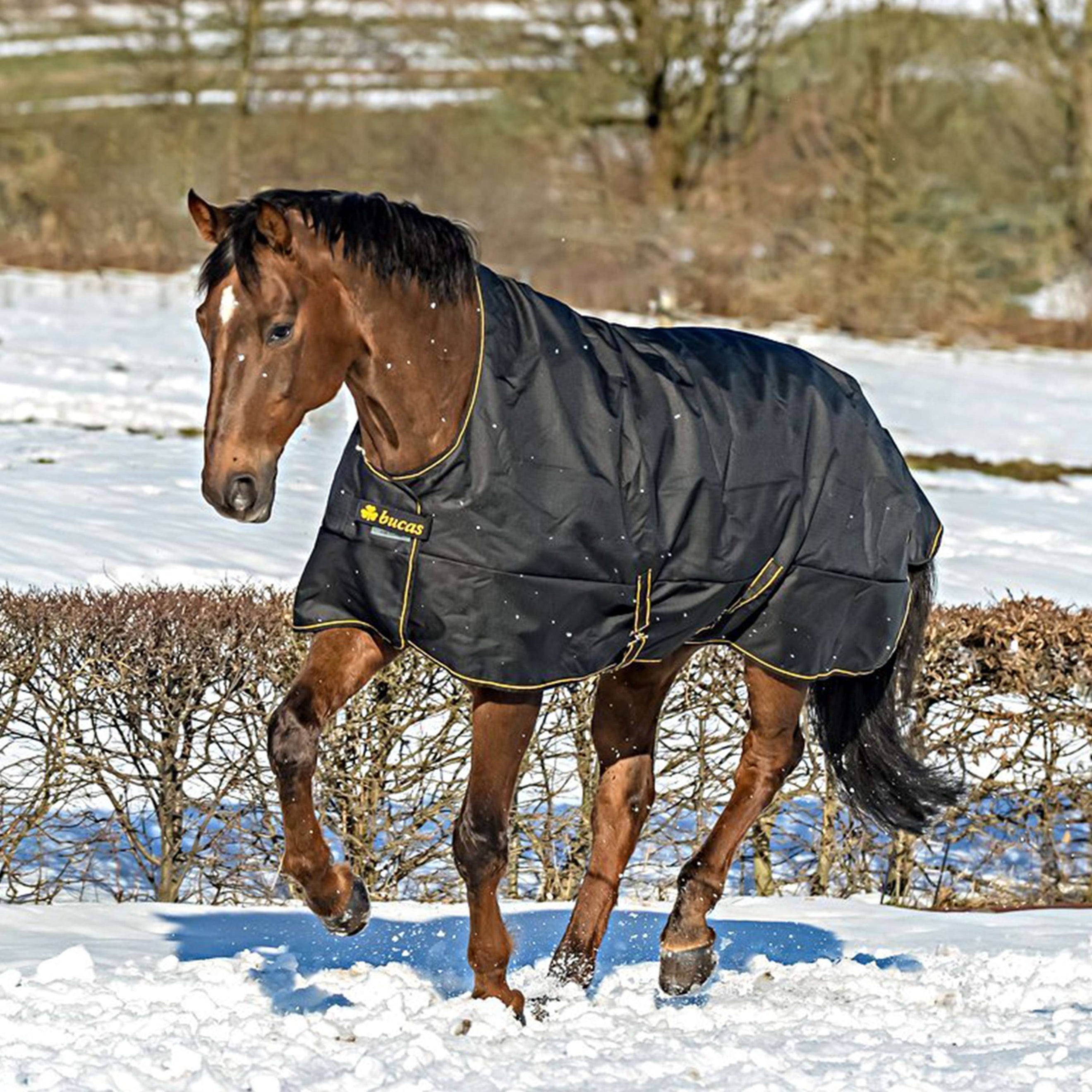 Bucas Irish Turnout Extra High Neck 300g Schwarz/Gold Bucas Irish Turnout Extra High Neck 300g Schwarz/Gold