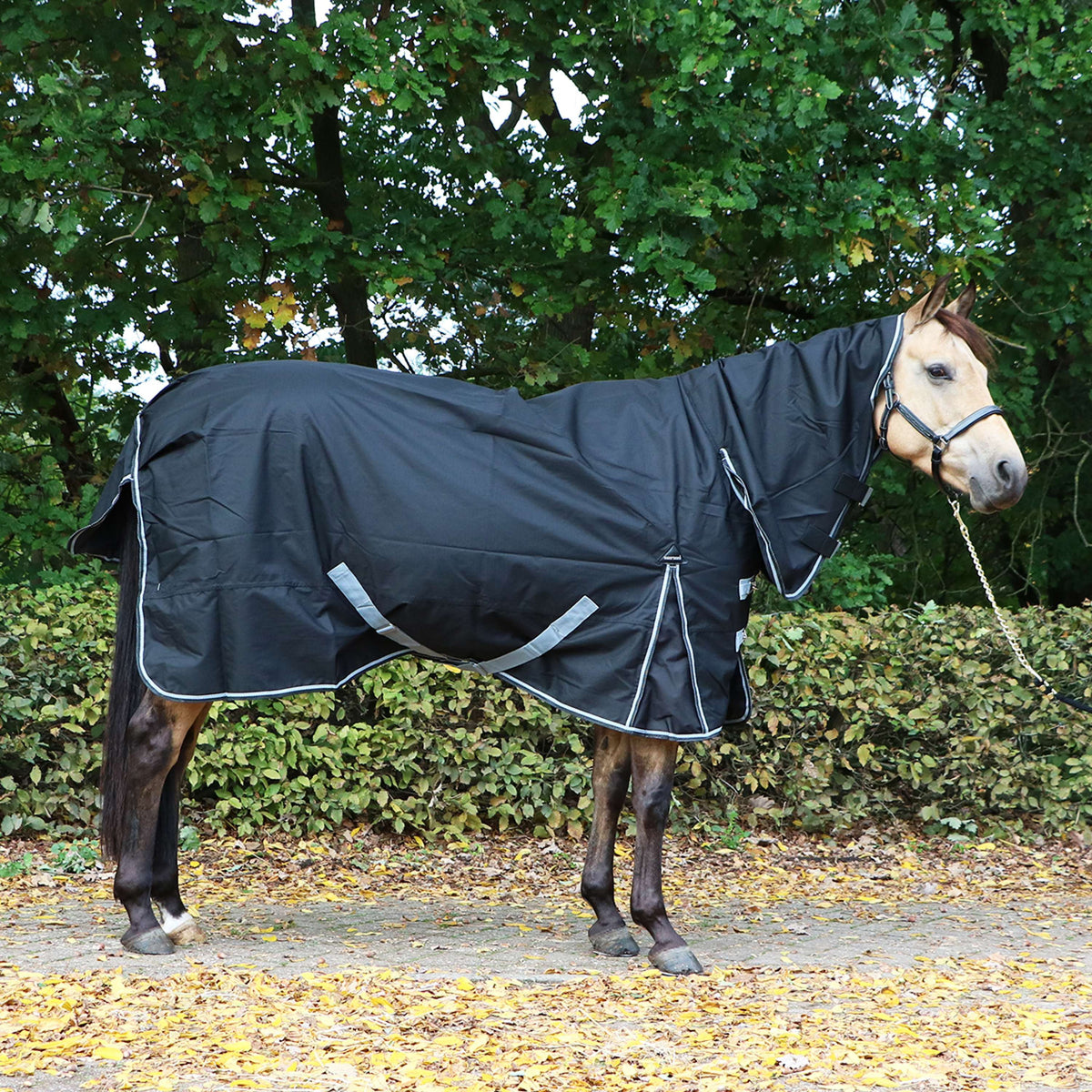 Harry's Horse Regendecke Thor 0g Combo Strechlimousine