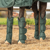 Agradi Horse Transportgamaschen 1200D Grün