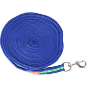 Premiere Longe Softgrip mit Karabinerhaken Blau/Grün