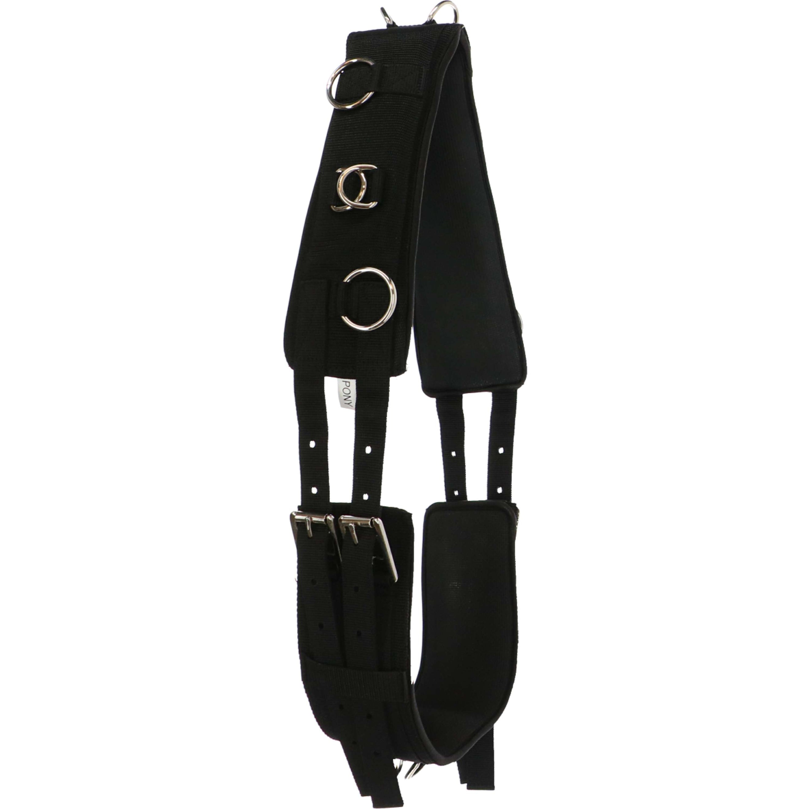 Harry's Horse Longiergurt Luxuriöser Schwarz Harry's Horse Longiergurt Luxuriöser Schwarz
