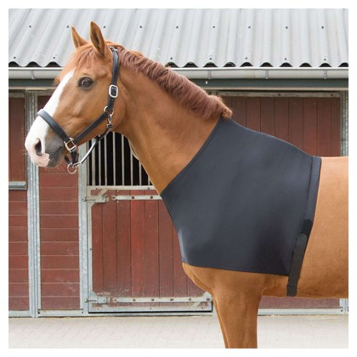 Harry's Horse Brustdecke Lycra Schwarz