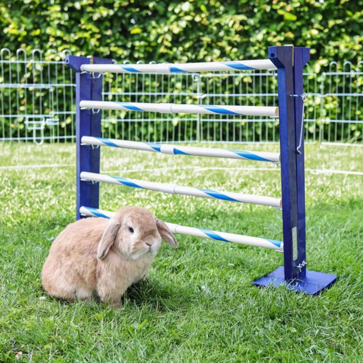 Kerbl Agility Kombisprung für Nager 2