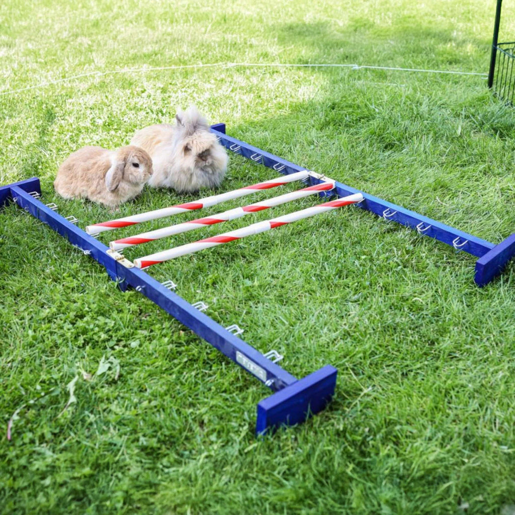 Kerbl Agility Kombisprung für Nager 2