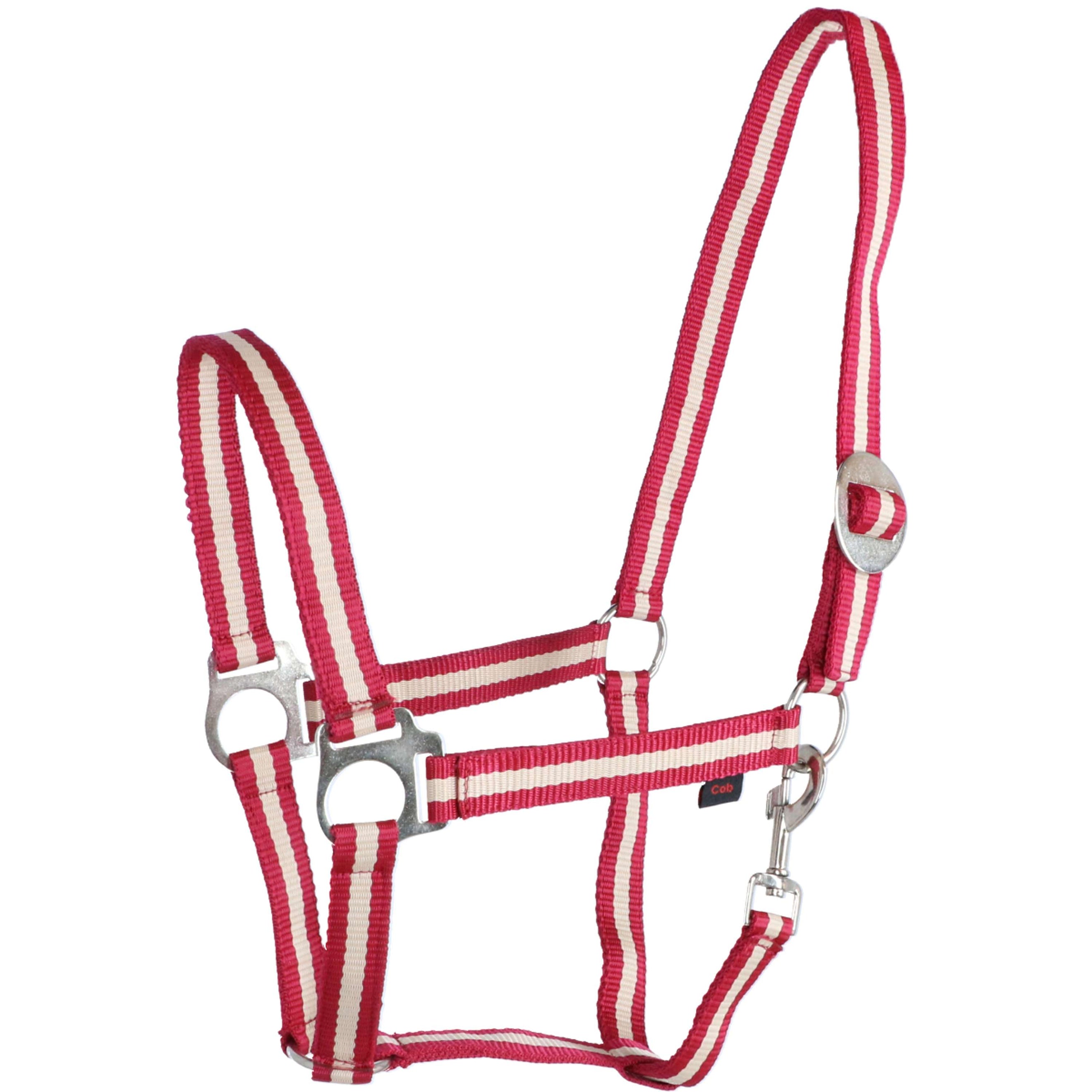 Covalliero Halfter Hippo Nylon Bordeaux/Beige Covalliero Halfter Hippo Nylon Bordeaux/Beige