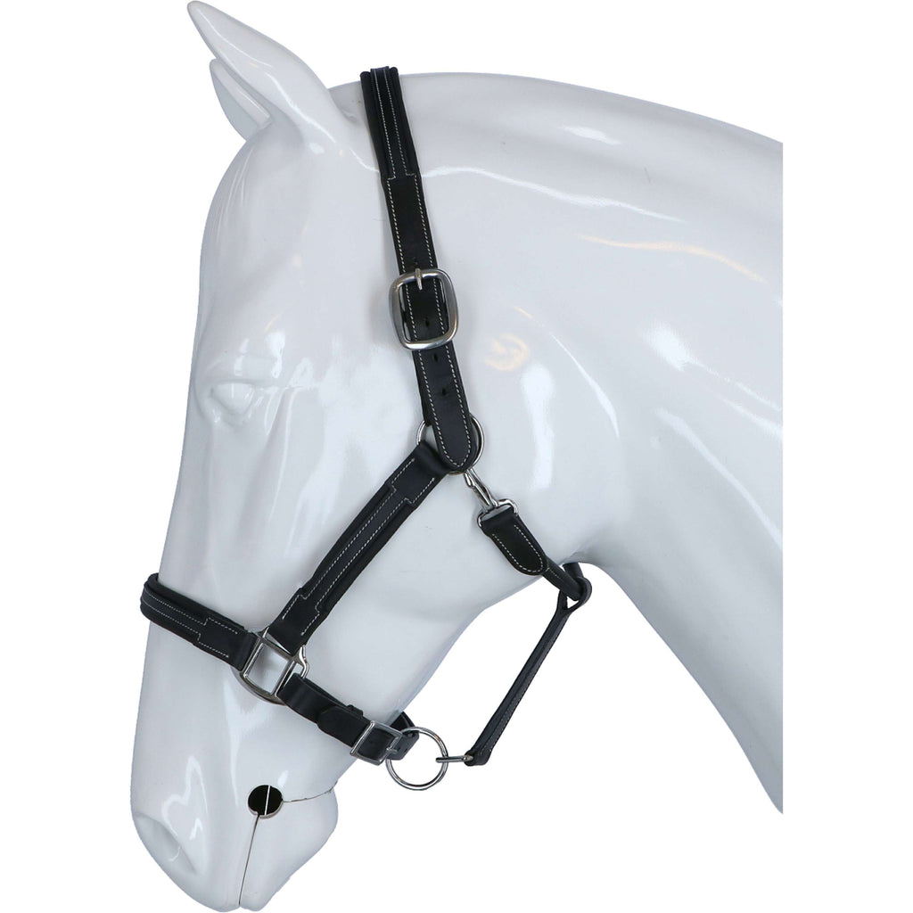 HKM Halfter Soft Leder Schwarz