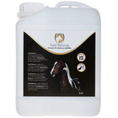 Excellent Equi Total Balance