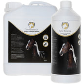 Excellent Equi Total Balance