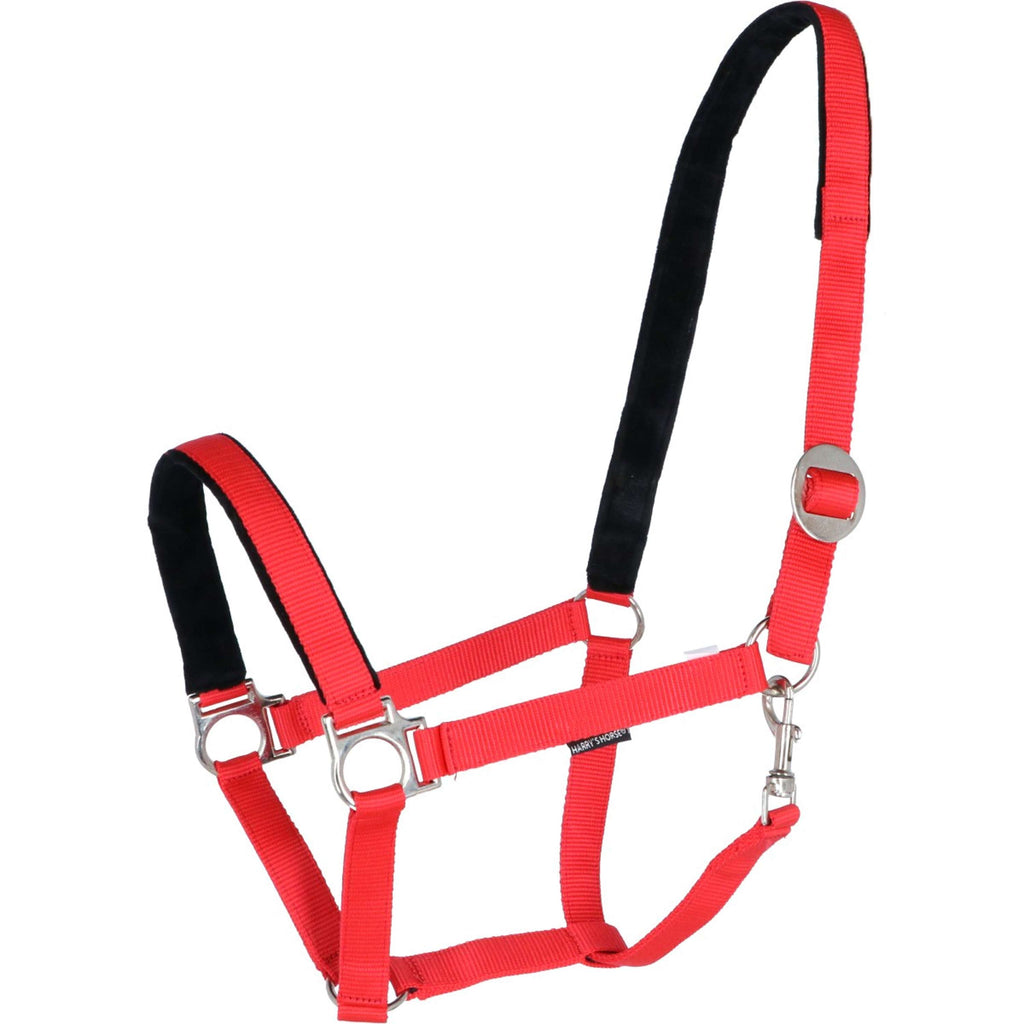 Harry's Horse Halfter Padded Rot