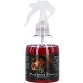 BR Coat Shine Glitzer Spray