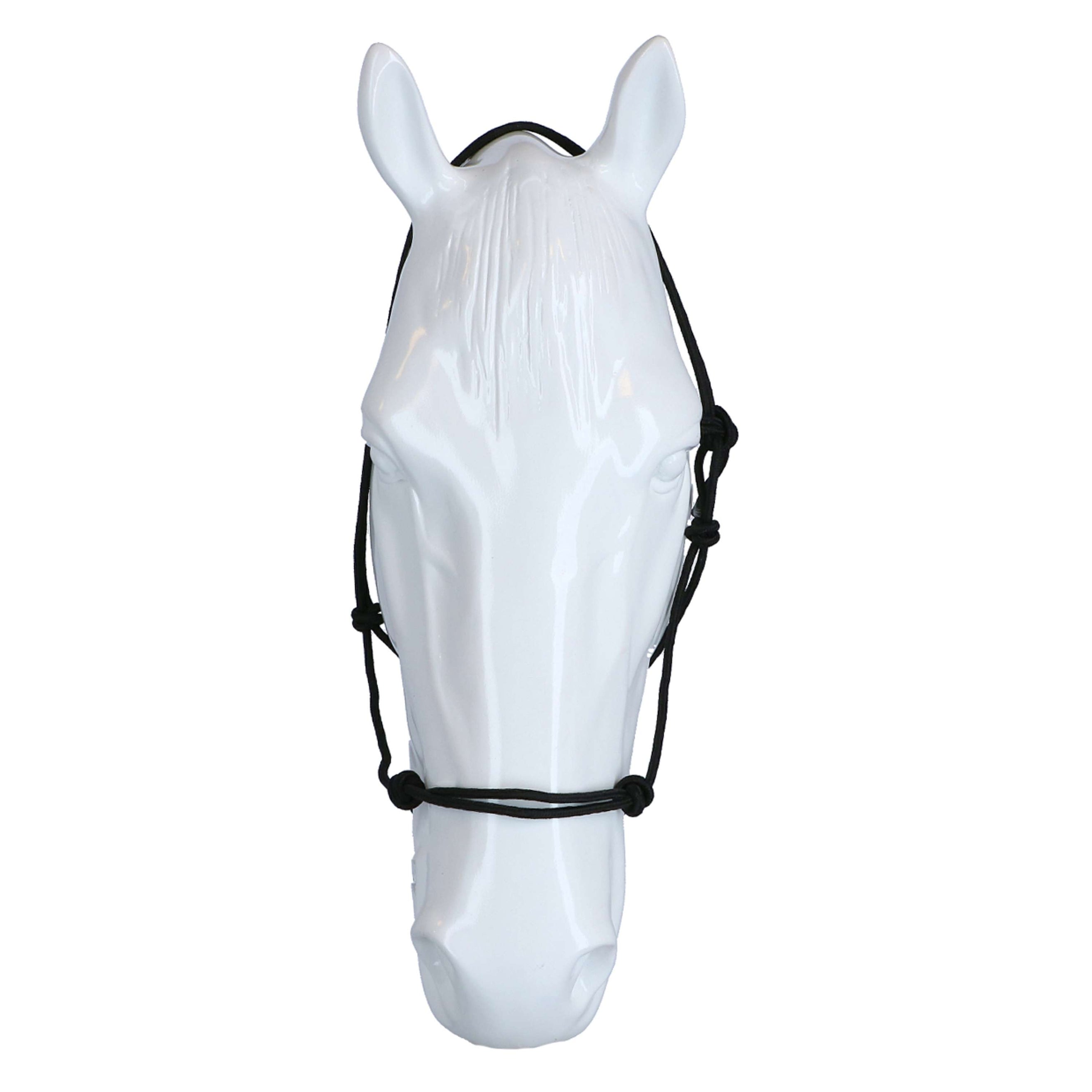 Riding World Halfter Fine Ethologisch Schwarz Riding World Halfter Fine Ethologisch Schwarz