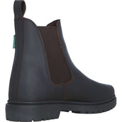 Norton Stiefeletten Camargue Braun