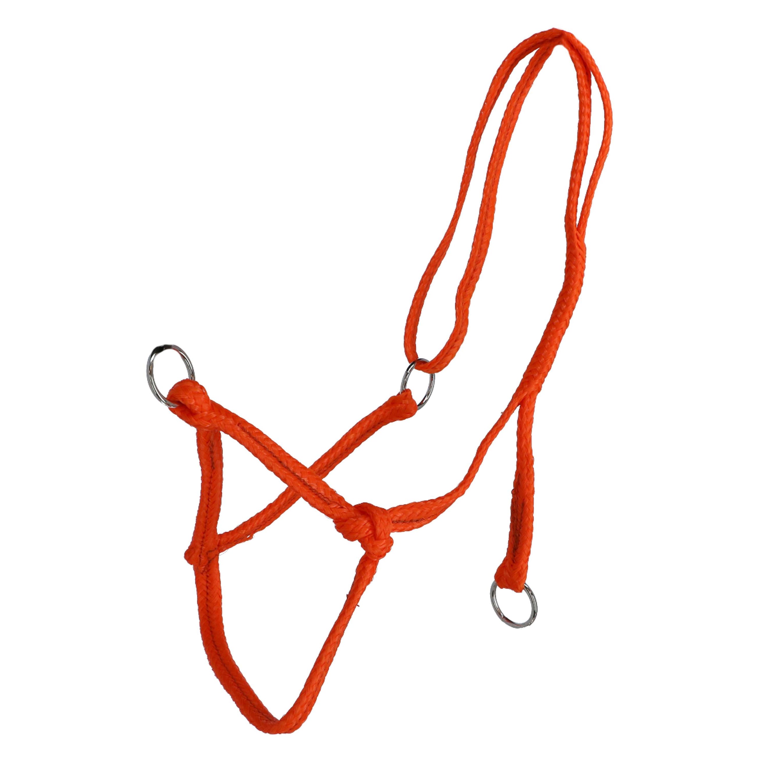 Agradi Halfter Kuh Orange Agradi Halfter Kuh Orange