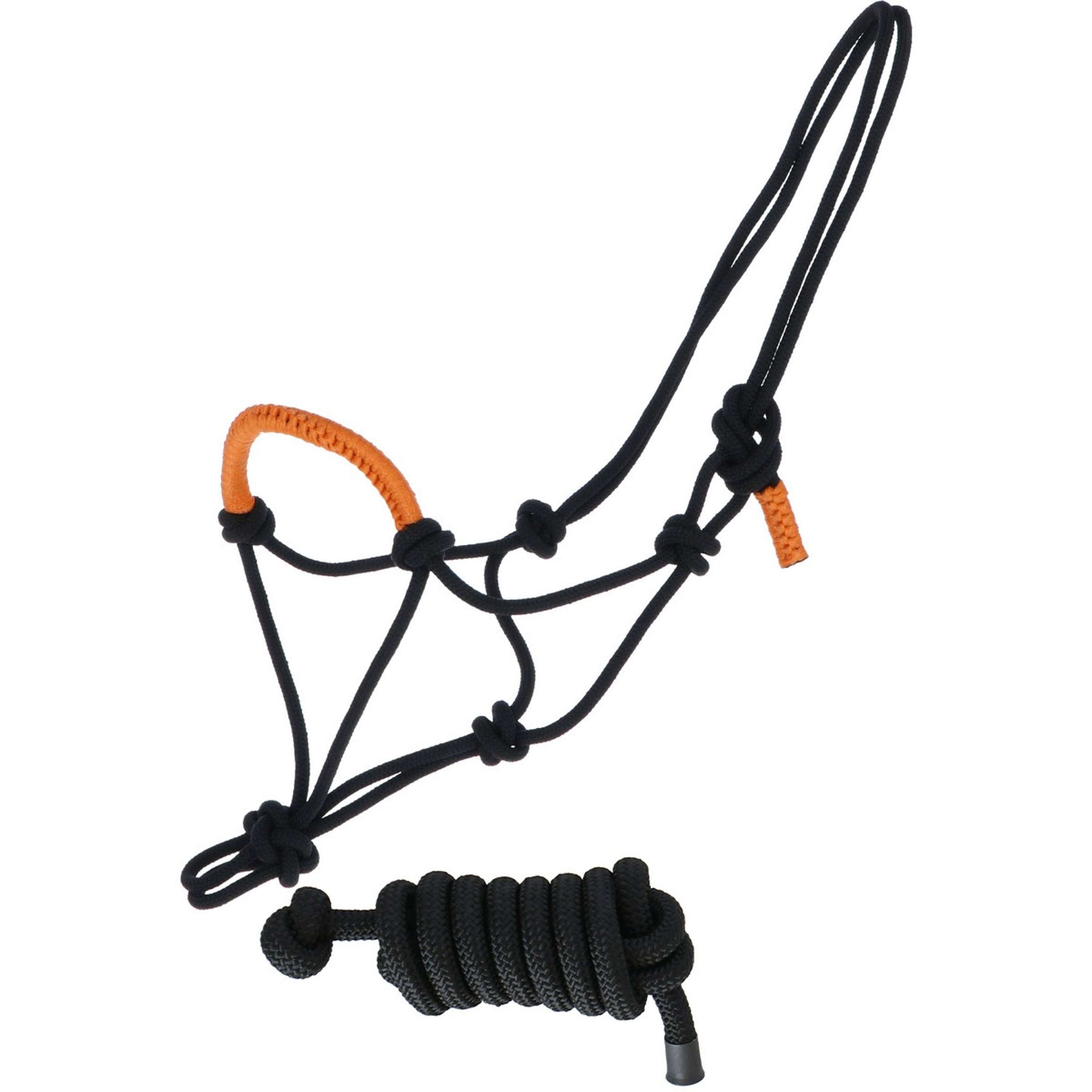 Norton Knotenhalfterset Fun Colour Ethologisch Schwarz/Orange Norton Knotenhalfterset Fun Colour Ethologisch Schwarz/Orange