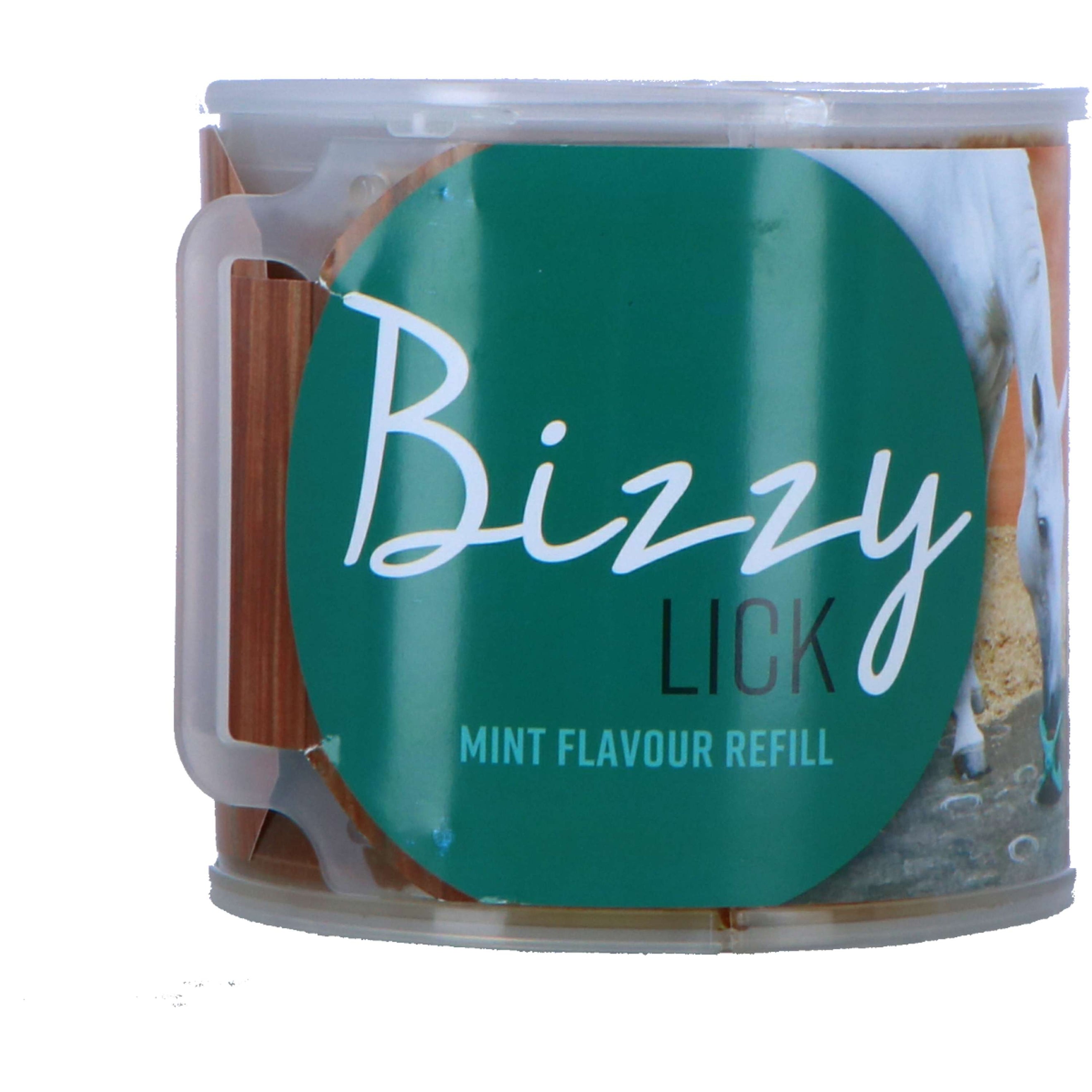 Bizzy Leckstein Mint Bizzy Leckstein Mint