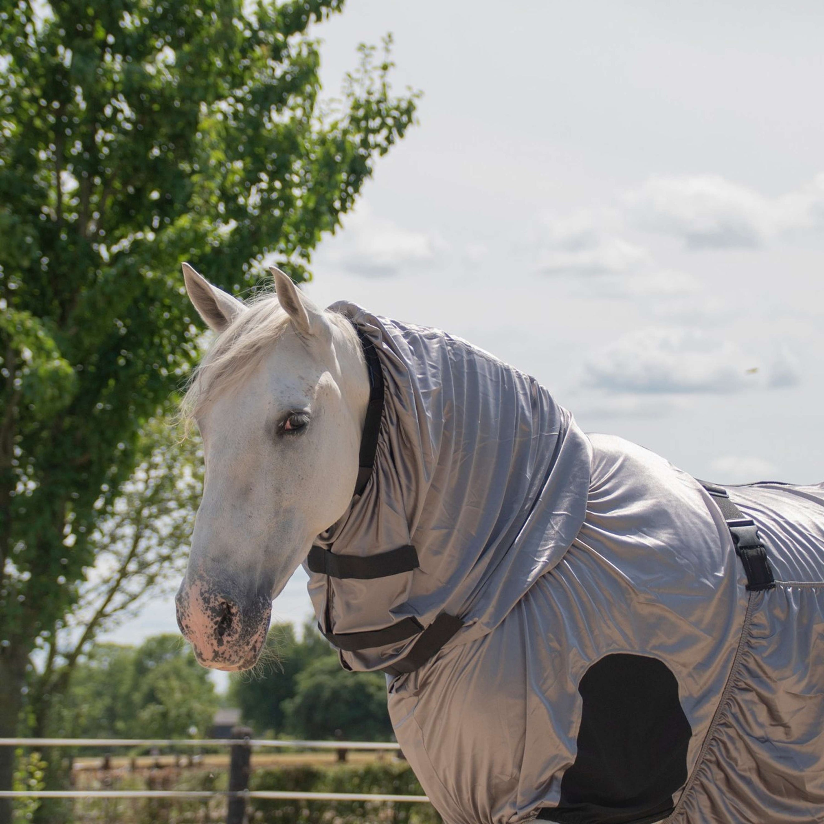 Harry's Horse Ekzema/Fliegendecke UV Harry's Horse Ekzema/Fliegendecke UV