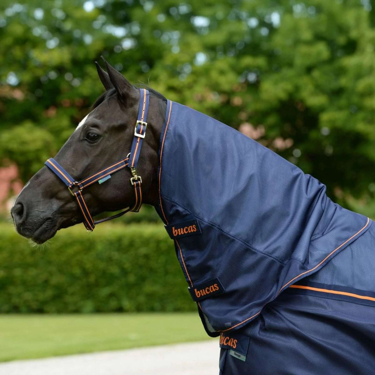 Bucas Therapy Light Neck Navy Orange