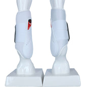 Zandona Fesselkopfgamaschen Carbon Air Workout Hinterbeine Weiß