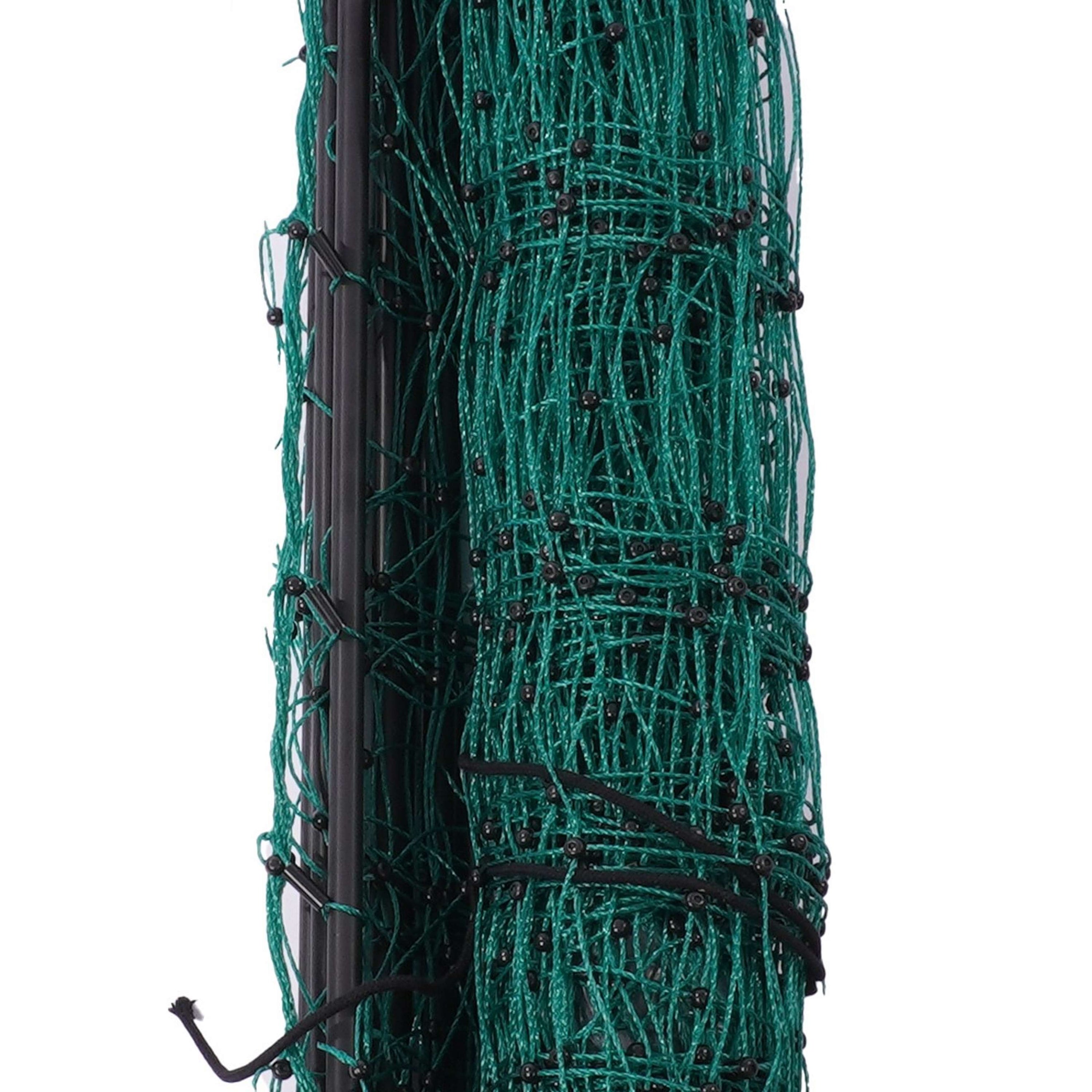 Ako Geflügelnetz Doppelspitze Grün