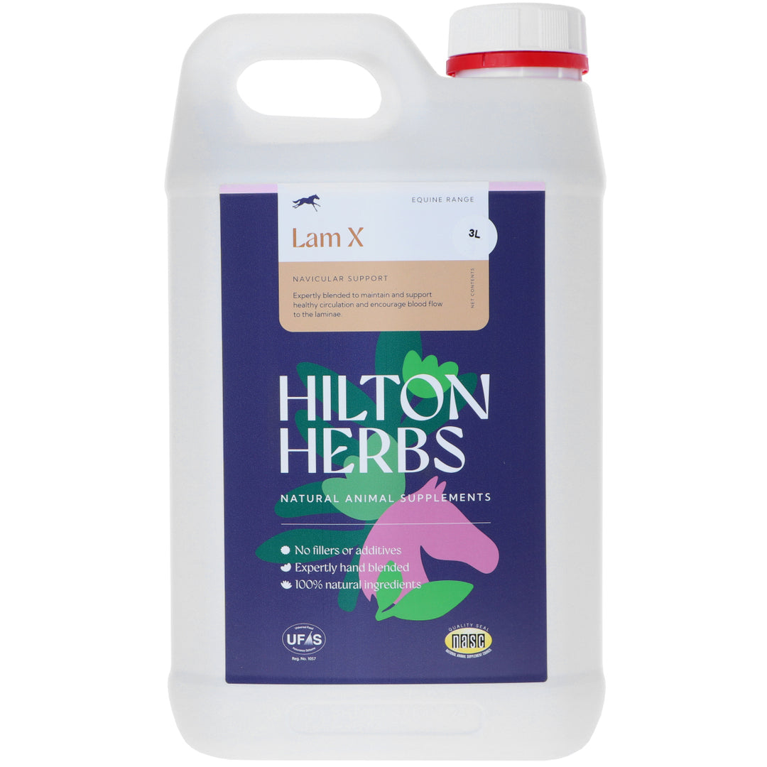 Hilton Herbs Lam X Gold