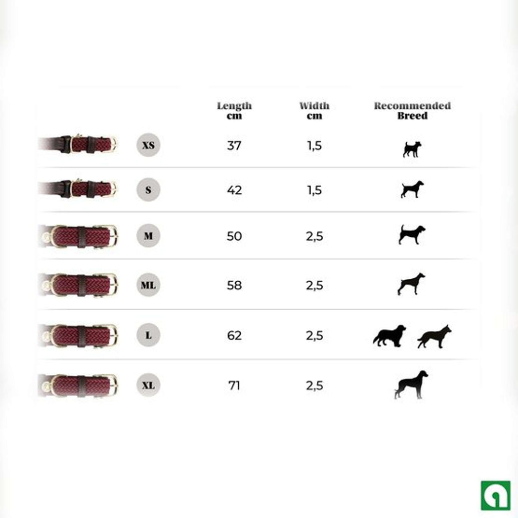 Kentucky Kragen Plaited Nylon Bordeaux