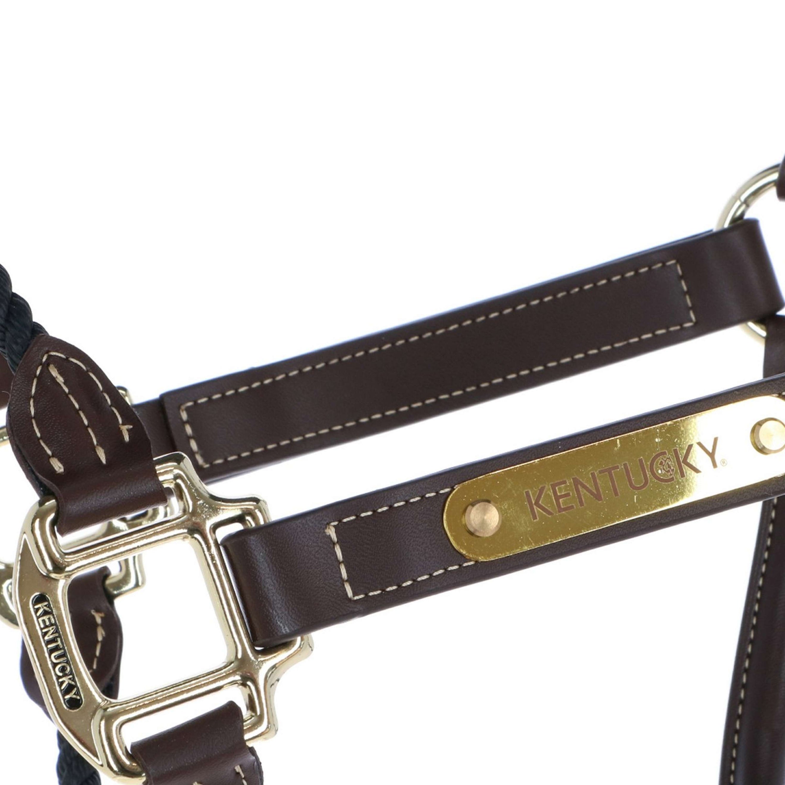 Kentucky Halfter Aus Leder und Seil Schwarz Kentucky Halfter Aus Leder und Seil Schwarz