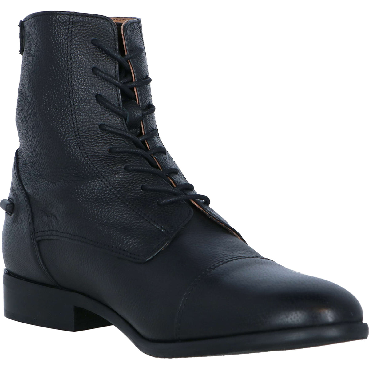 Harry's Horse Stiefelette Bellisa Schwarz