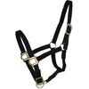 Riding World Halfter Schwarz