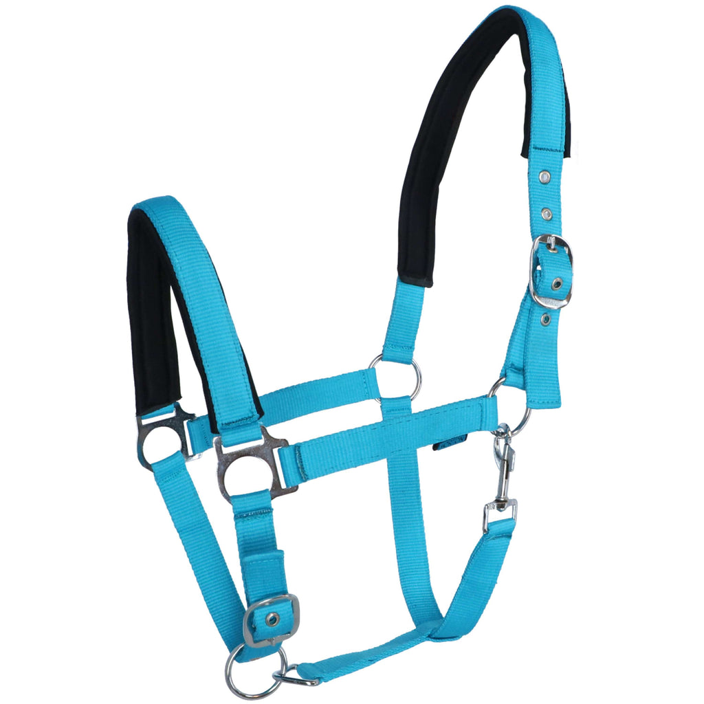 Norton Halfter Fluo Unterlegt Blau