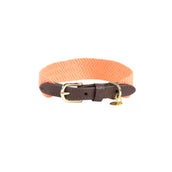 Kentucky Kragen Jacquard Neonorange