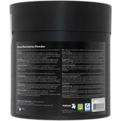 Excellent Electrolytes Pulver mit B2 Eimer