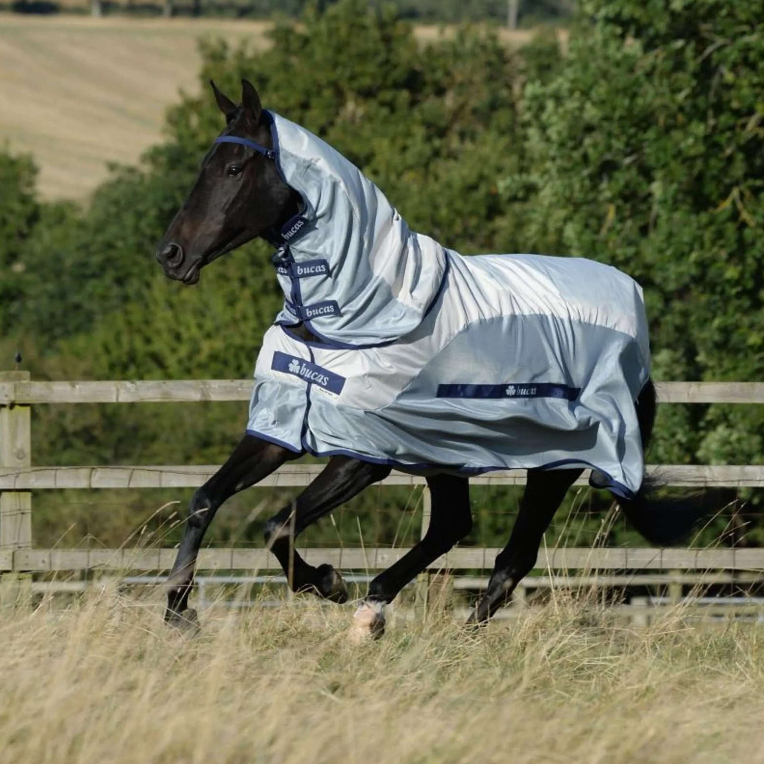 Bucas Buzz-Off Rain & Neck 0g Silber/Blau Bucas Buzz-Off Rain & Neck 0g Silber/Blau