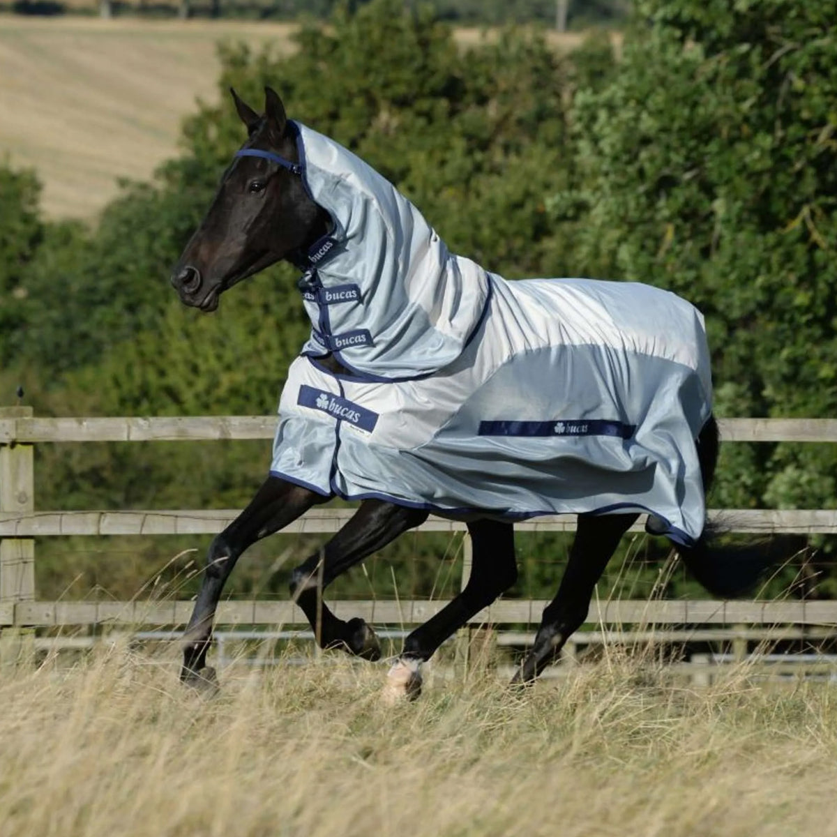 Bucas Buzz-Off Rain & Neck 0g Silber/Blau