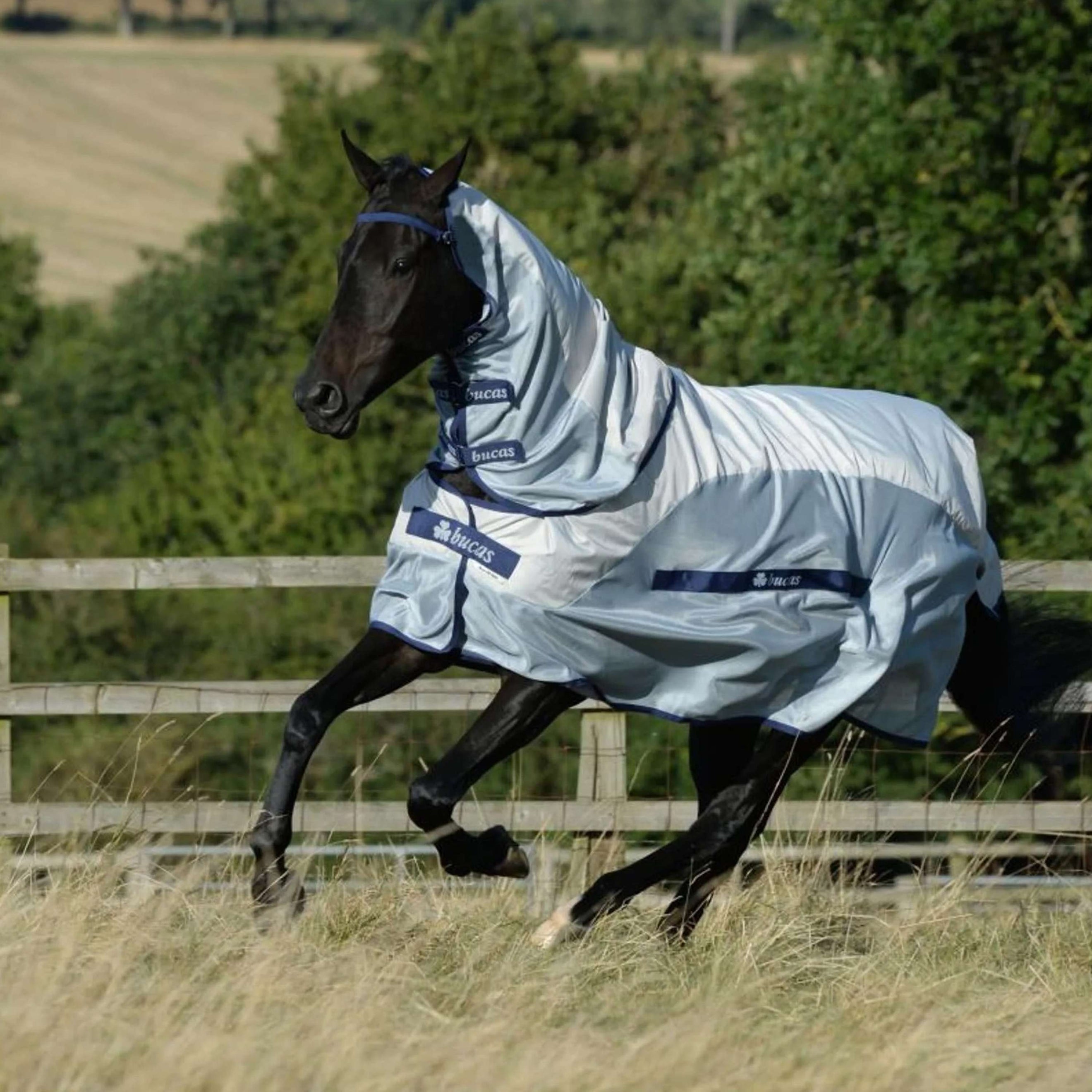 Bucas Buzz-Off Rain & Neck 0g Silber/Blau Bucas Buzz-Off Rain & Neck 0g Silber/Blau
