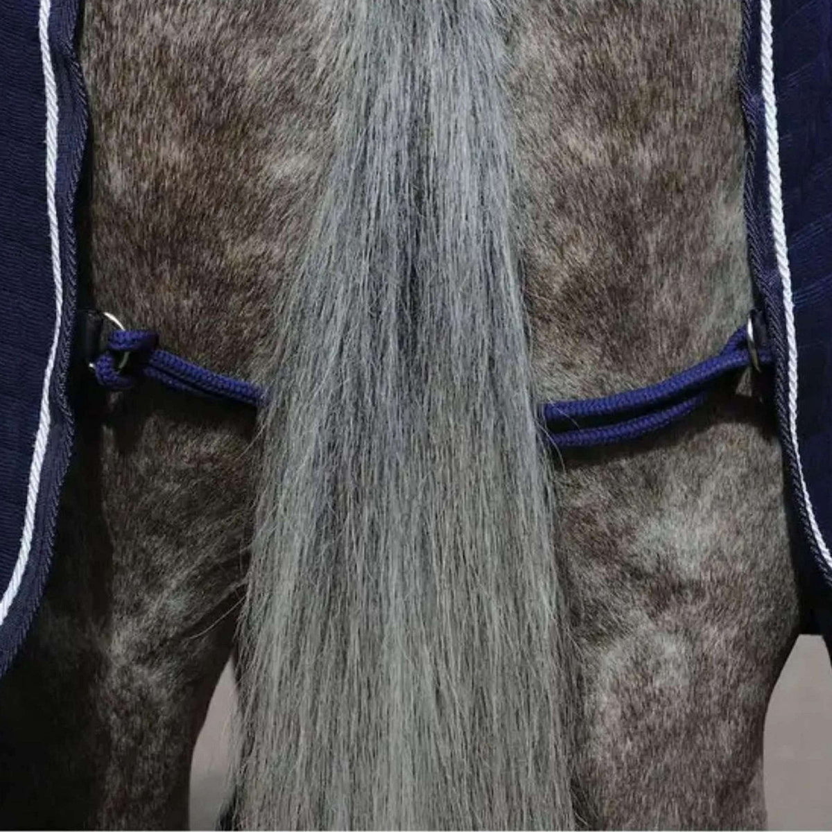 WeatherBeeta Cooler Thermocell Standard Neck Navy/Weiß