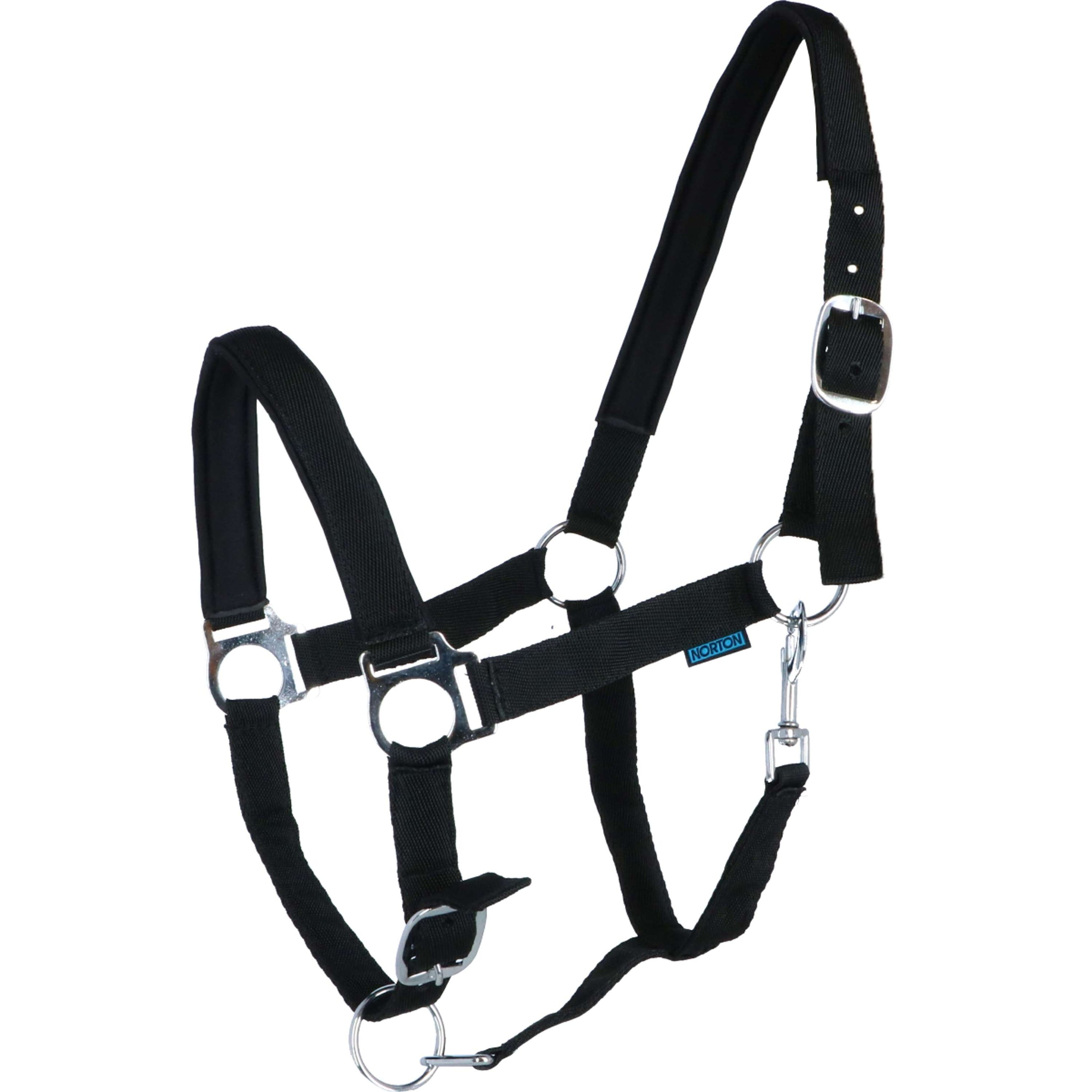 Norton Halfter mit Neopren Ausgekleidet Schwarz Norton Halfter mit Neopren Ausgekleidet Schwarz