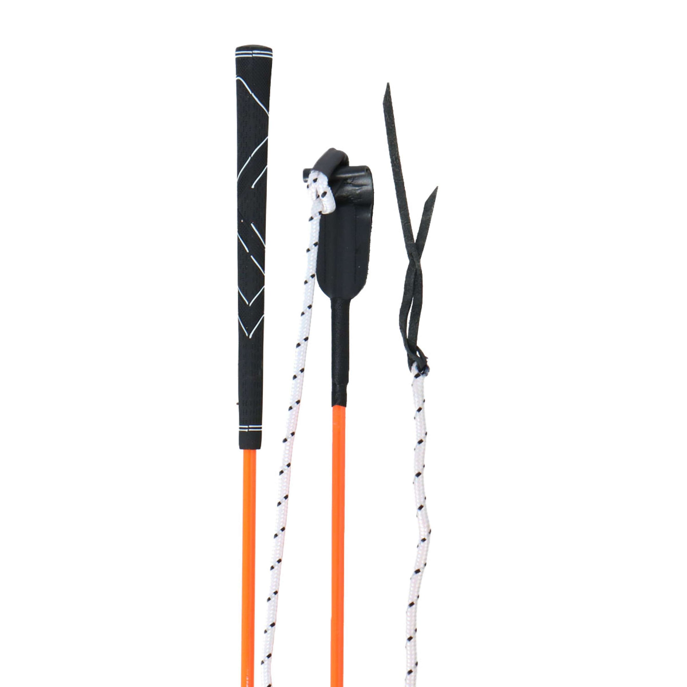 Whip & Go Ethologische Trainingshilfe Orange