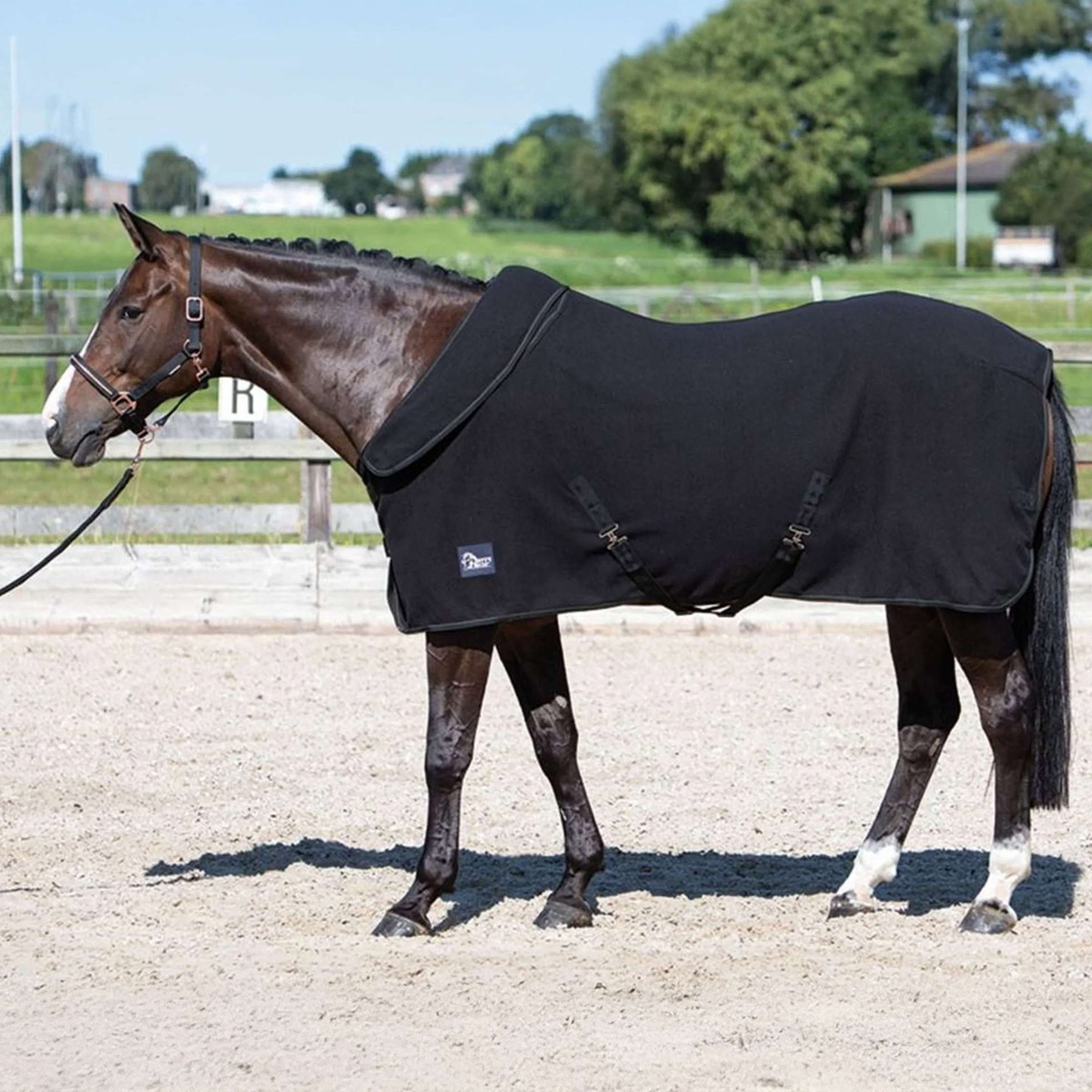 Harry's Horse Fleecedecke mit Aufrollbarem Hals Schwarz