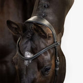 PS of Sweden Trense Helsinki Schwarz