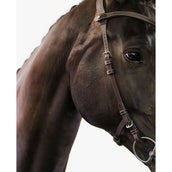 PS of Sweden Trense Helsinki Braun