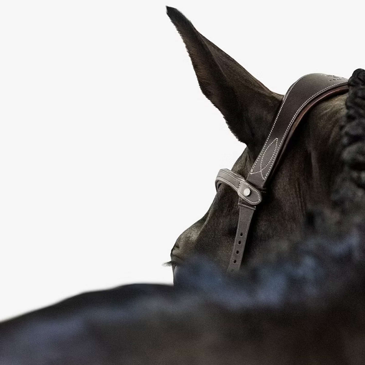 PS of Sweden Trense Helsinki Braun