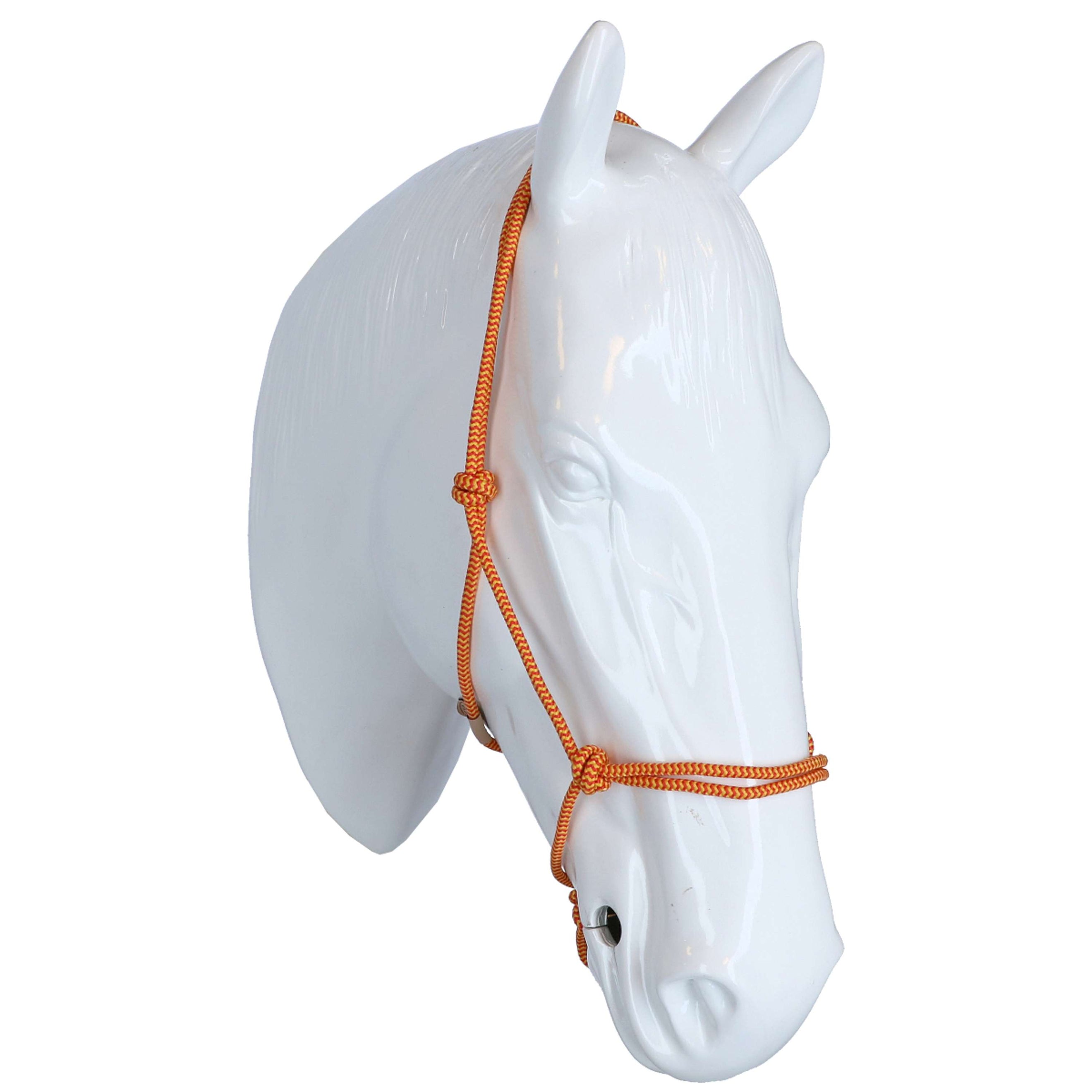 F.R.A. Reit- Ausbildungshalfte Babia Ruchi Collection Nylon Rot/Gelb F.R.A. Reit- Ausbildungshalfte Babia Ruchi Collection Nylon Rot/Gelb