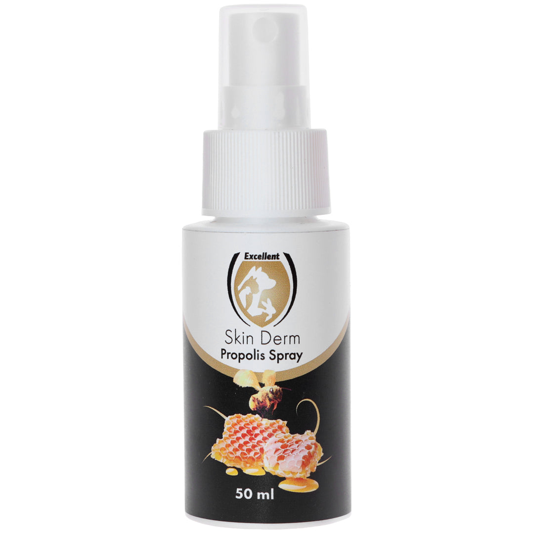 Excellent Skin Derm Spray Propolis Honig