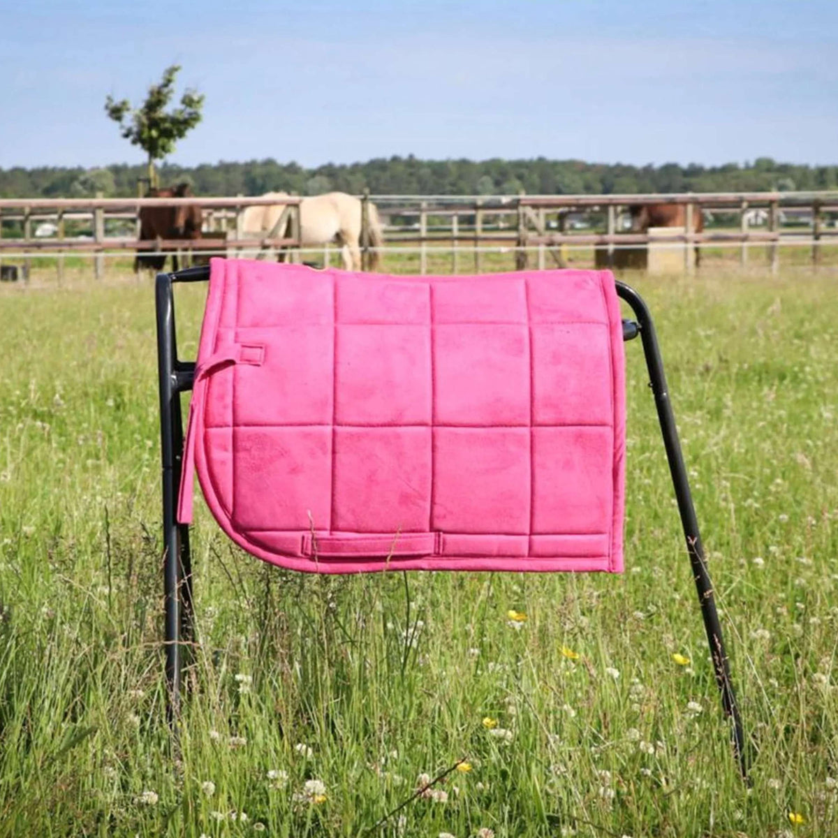 HB Schabracke Shetland Rosa