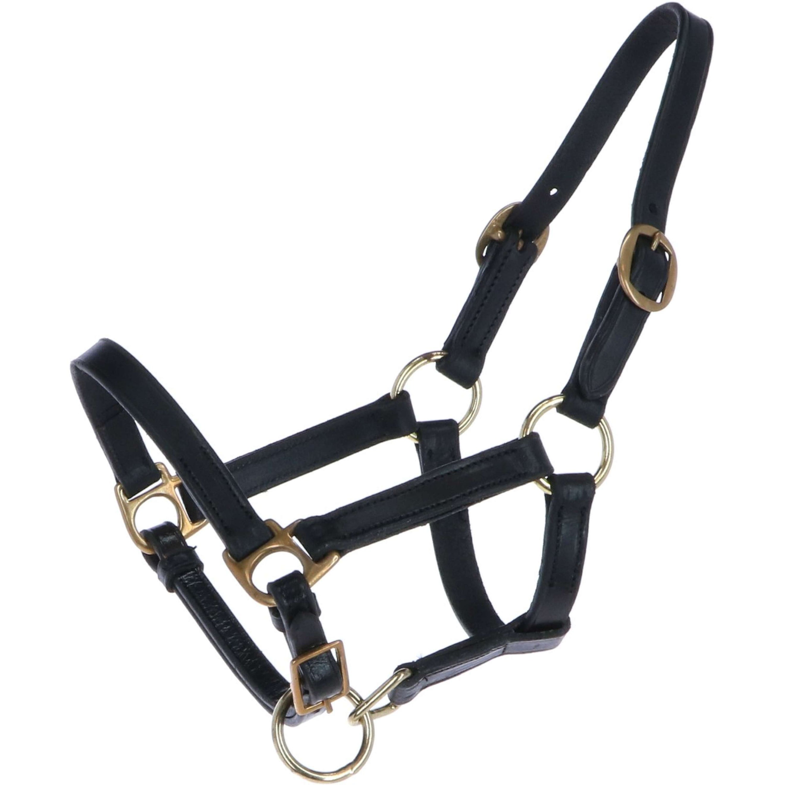 HB Fohlenhalfter Leder Schwarz HB Fohlenhalfter Leder Schwarz