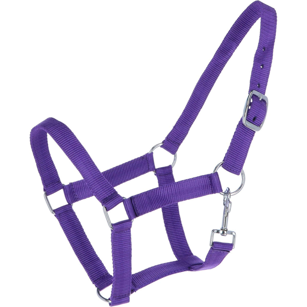 HB Halfter Nylon Violett