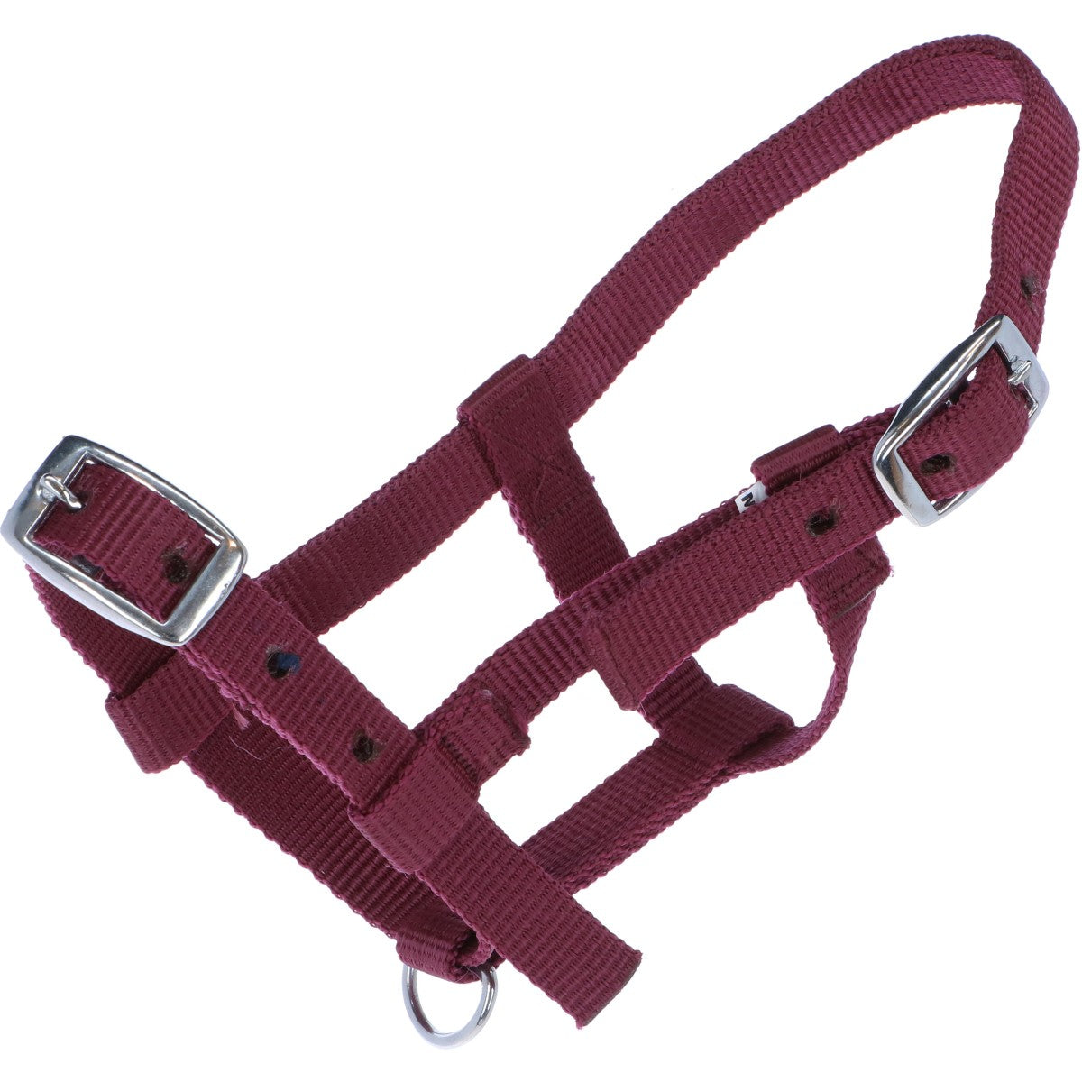 HB Halfter Nylon Bordeaux